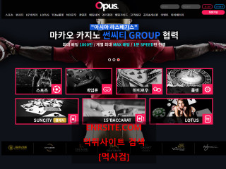 오퍼스.OPUS.1 chs27.com