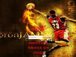 덩크.1.1 salmsk9.com