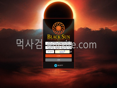 블랙썬 bs-ww.com