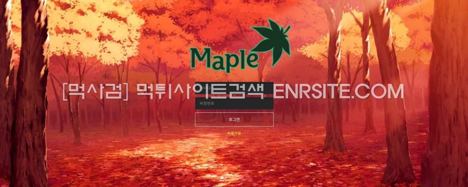 98750 메이플.4 maple-100.com