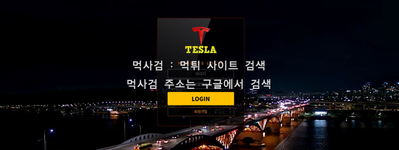 테슬라.6