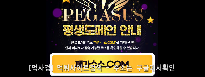 페가수스.com