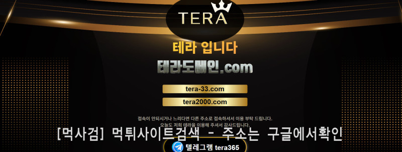 테라도메인.com