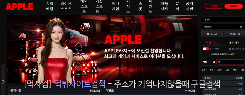 애플도메인.com apple